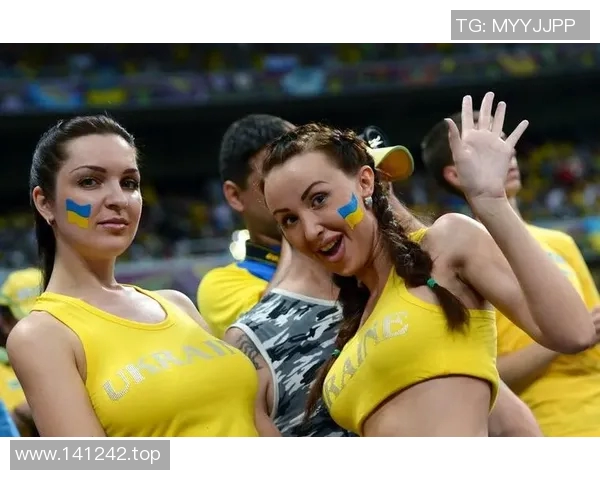 欧洲杯赛事球迷文化传播方式与球迷互动模式的演变与影响研究